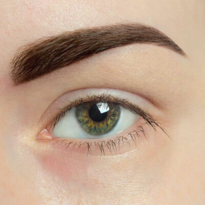 Insights on lash and brow enhancers