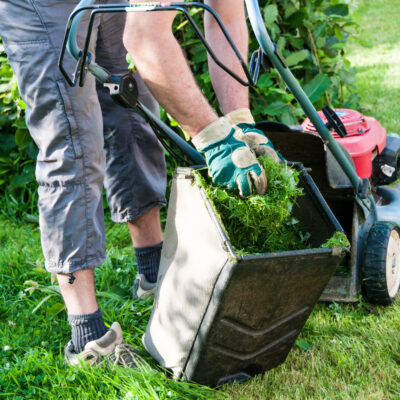 Natural Green Lawn Care Tips