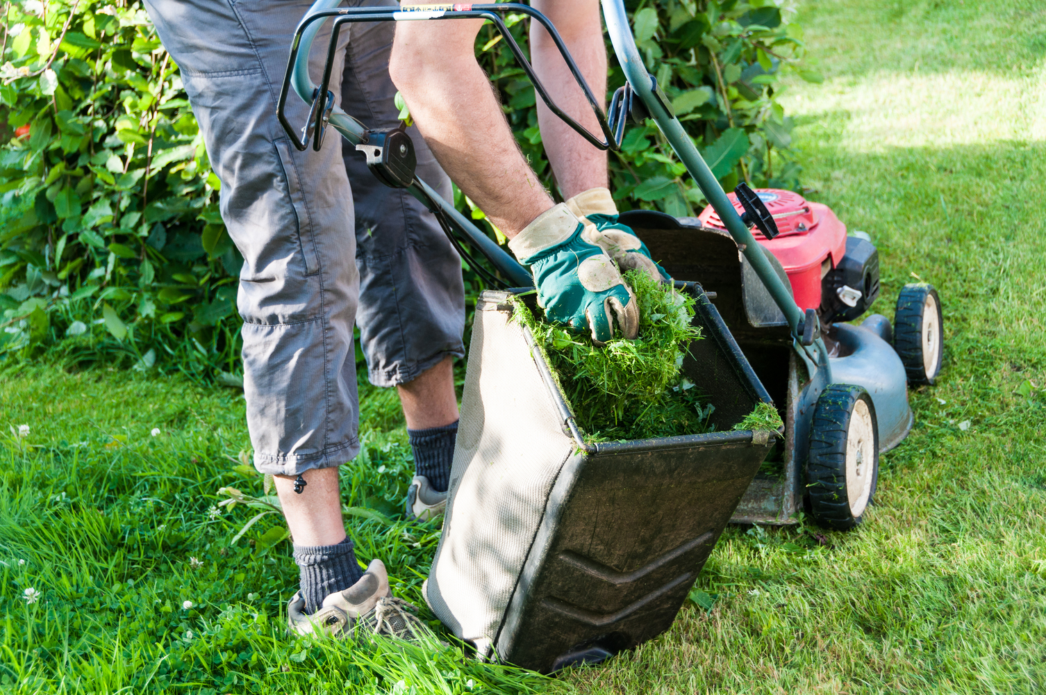 Natural Green Lawn Care Tips