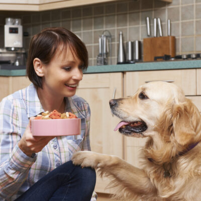 Tips for Finding a Healthy Dog Food