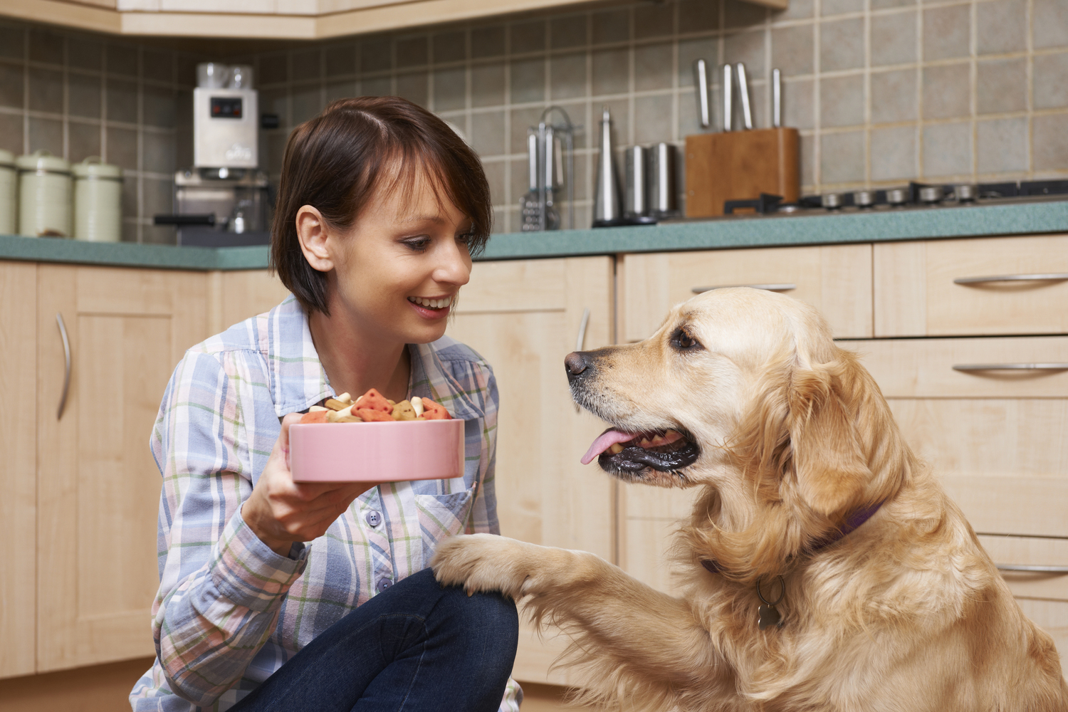 Tips for Finding a Healthy Dog Food